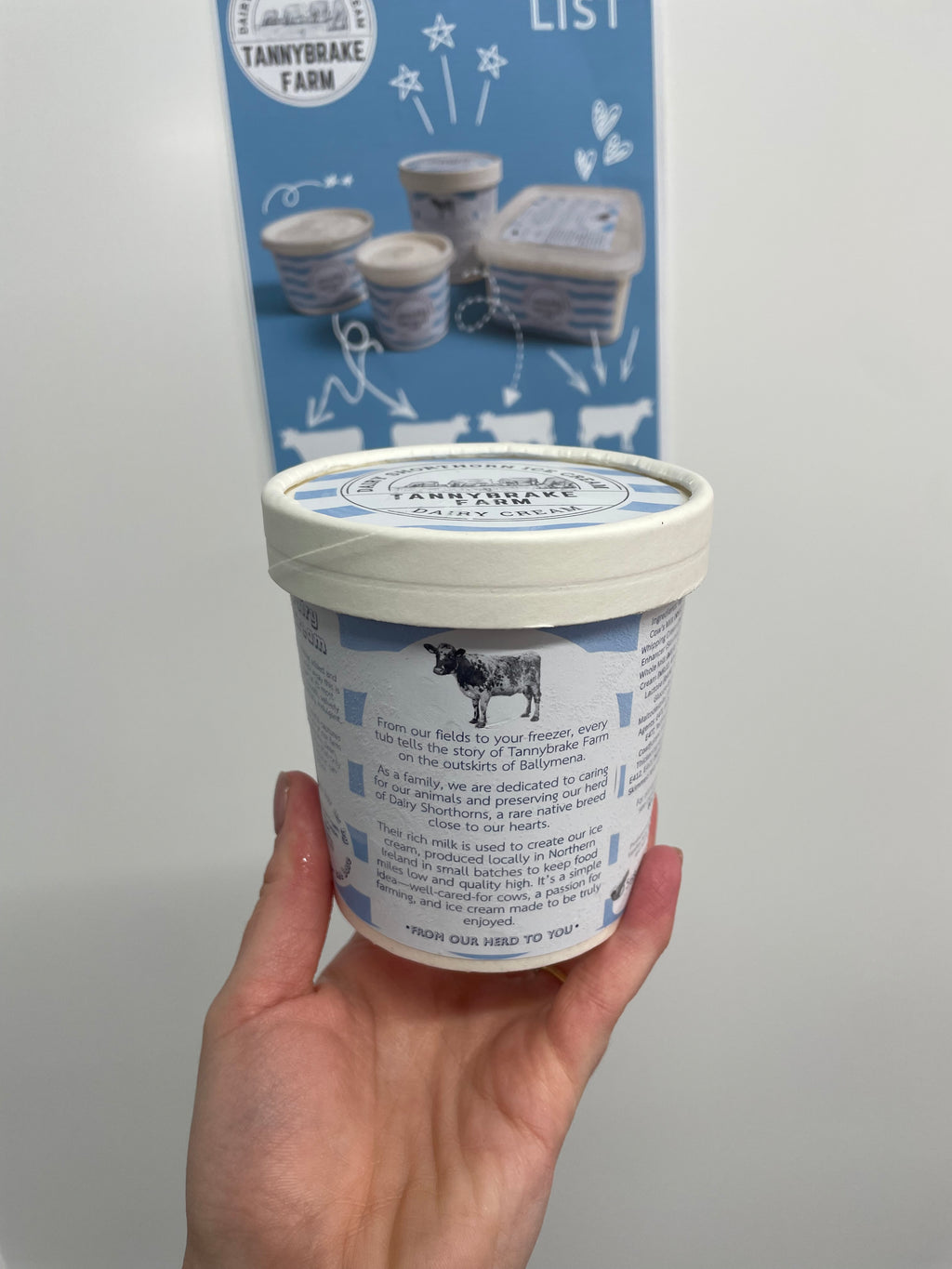 Dairy Cream Ice Cream
