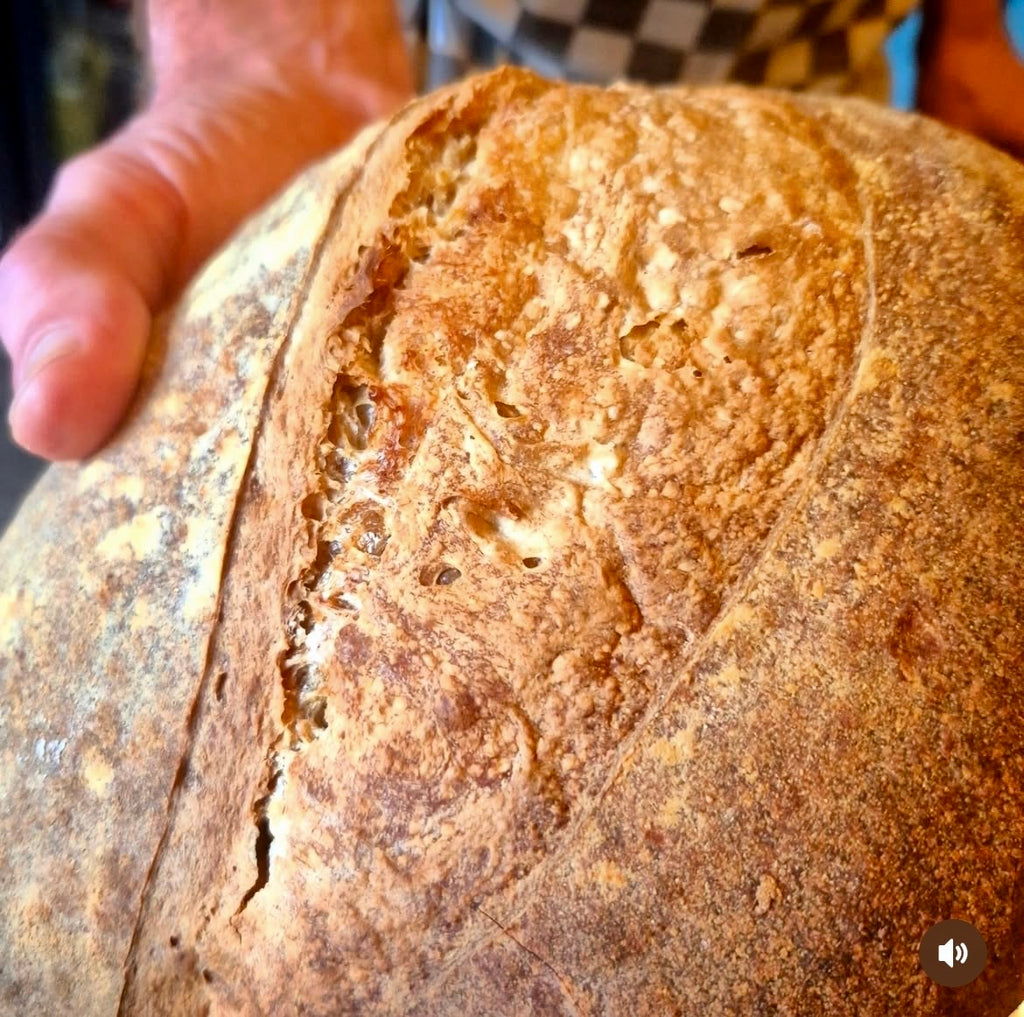 Sourdough Loaf