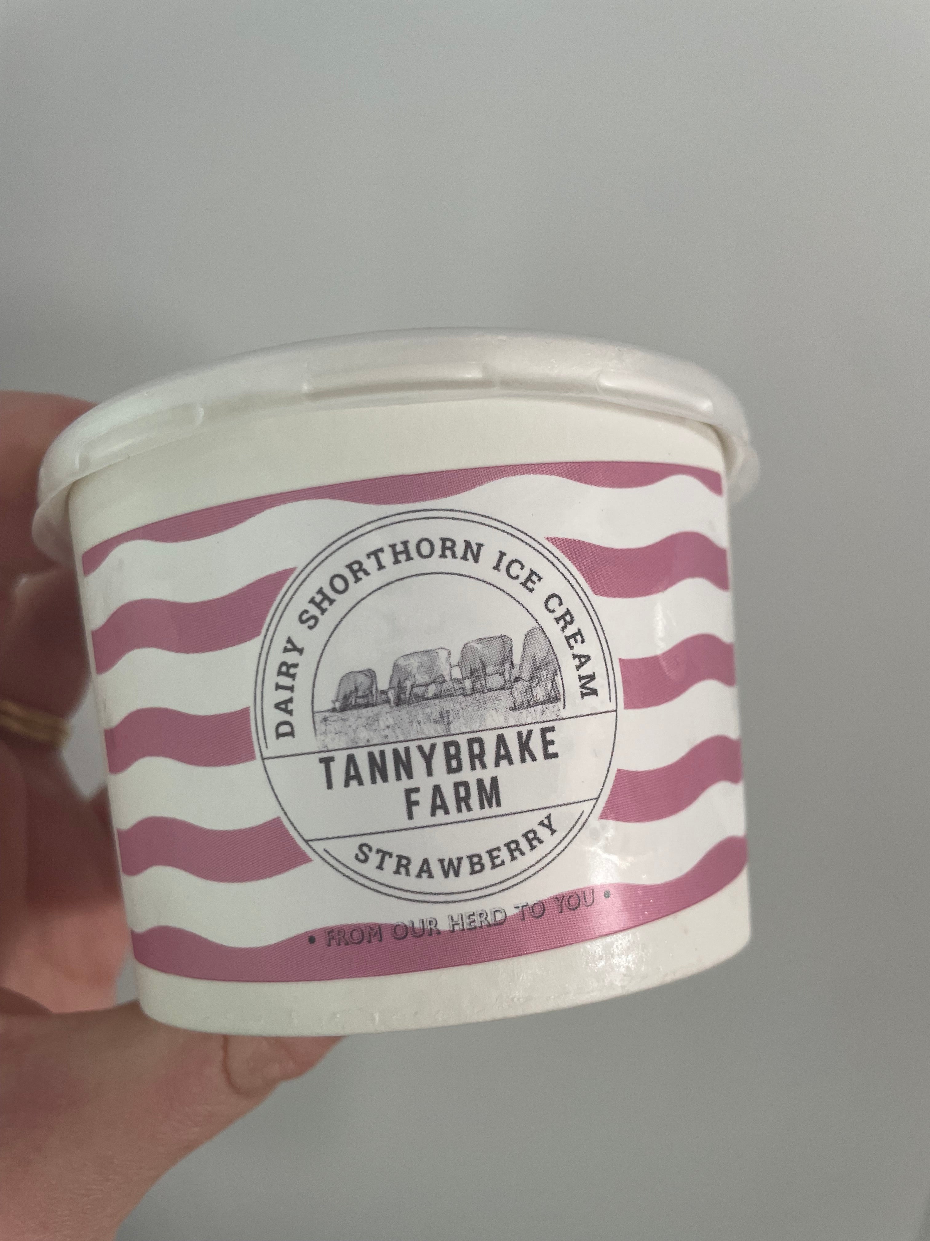 Strawberry Ice Cream