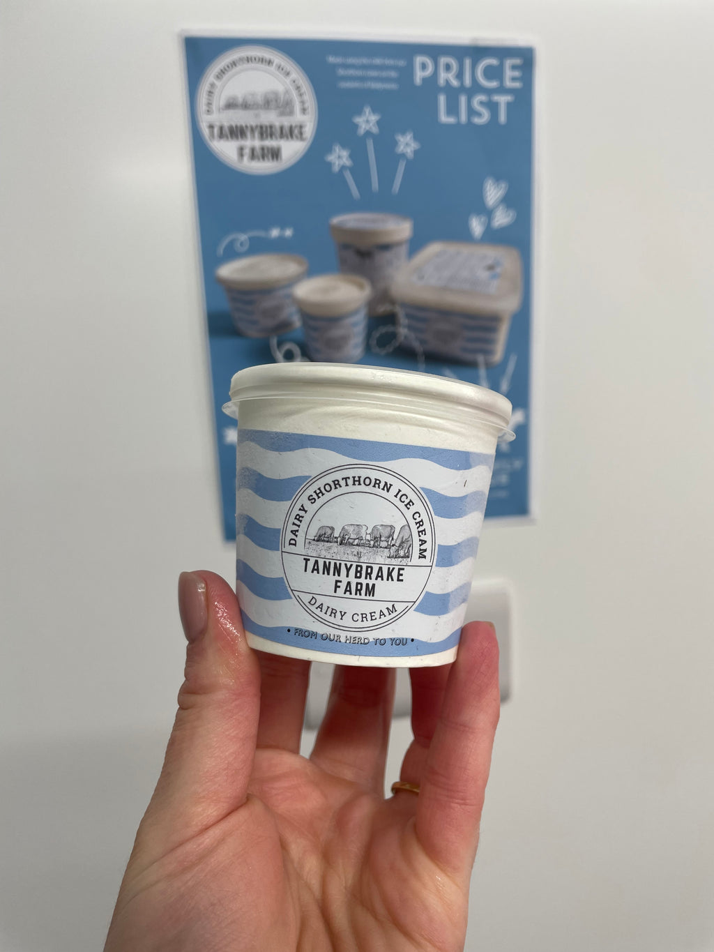 Dairy Cream Ice Cream
