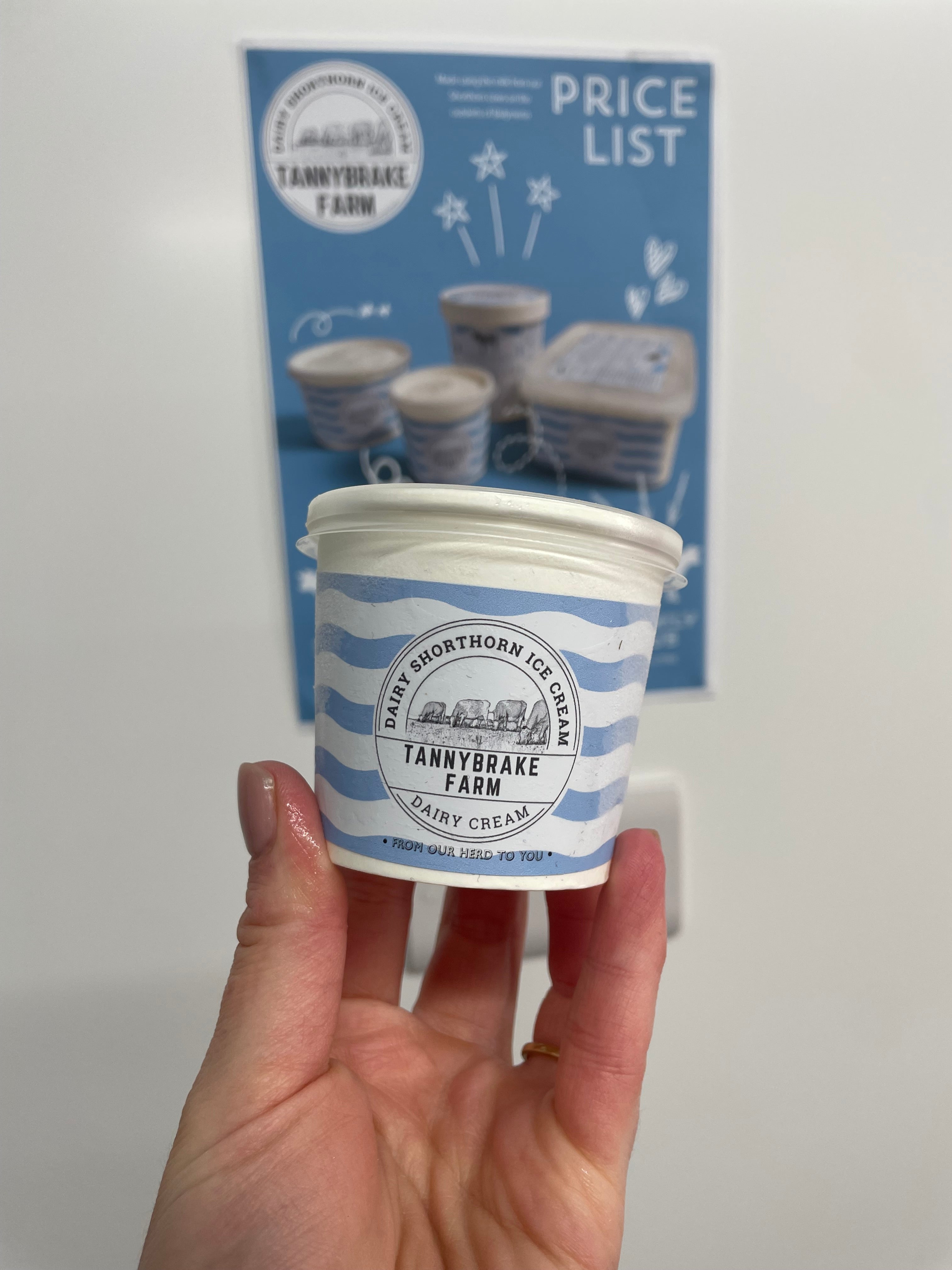Dairy Cream Ice Cream
