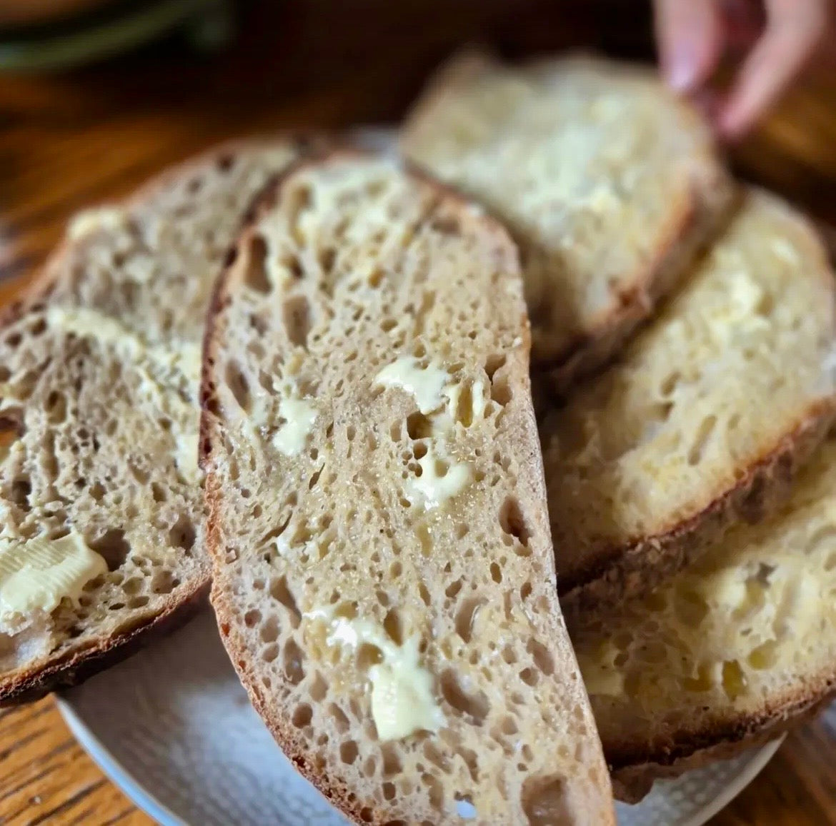 Sourdough Loaf
